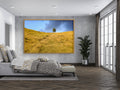 Sunset Scenery Gold Wild Field and Tree — Landscape