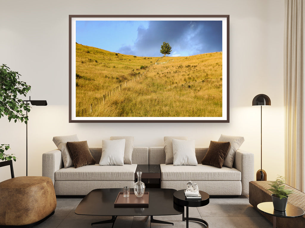 Sunset Scenery Gold Wild Field and Tree — Landscape