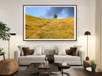 Sunset Scenery Gold Wild Field and Tree — Landscape