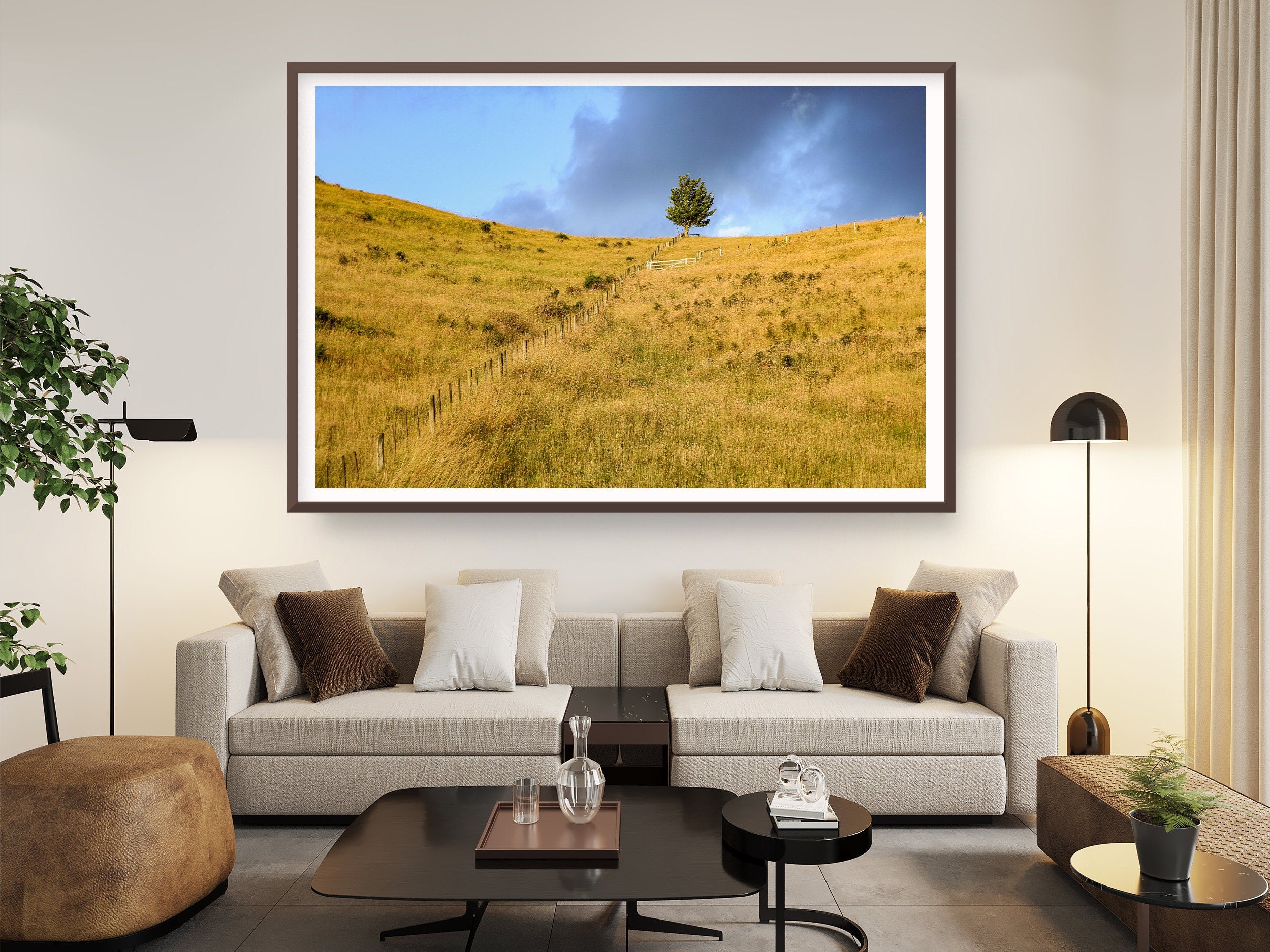 Sunset Scenery Gold Wild Field and Tree — Landscape