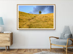 Sunset Scenery Gold Wild Field and Tree — Landscape