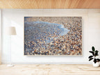 Wave and Shells Israeli Holy Land Beach Coastal Photography