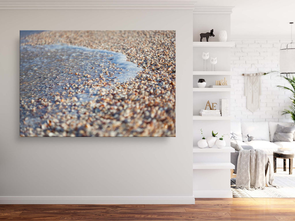 Wave and Shells Israeli Holy Land Beach Coastal Photography