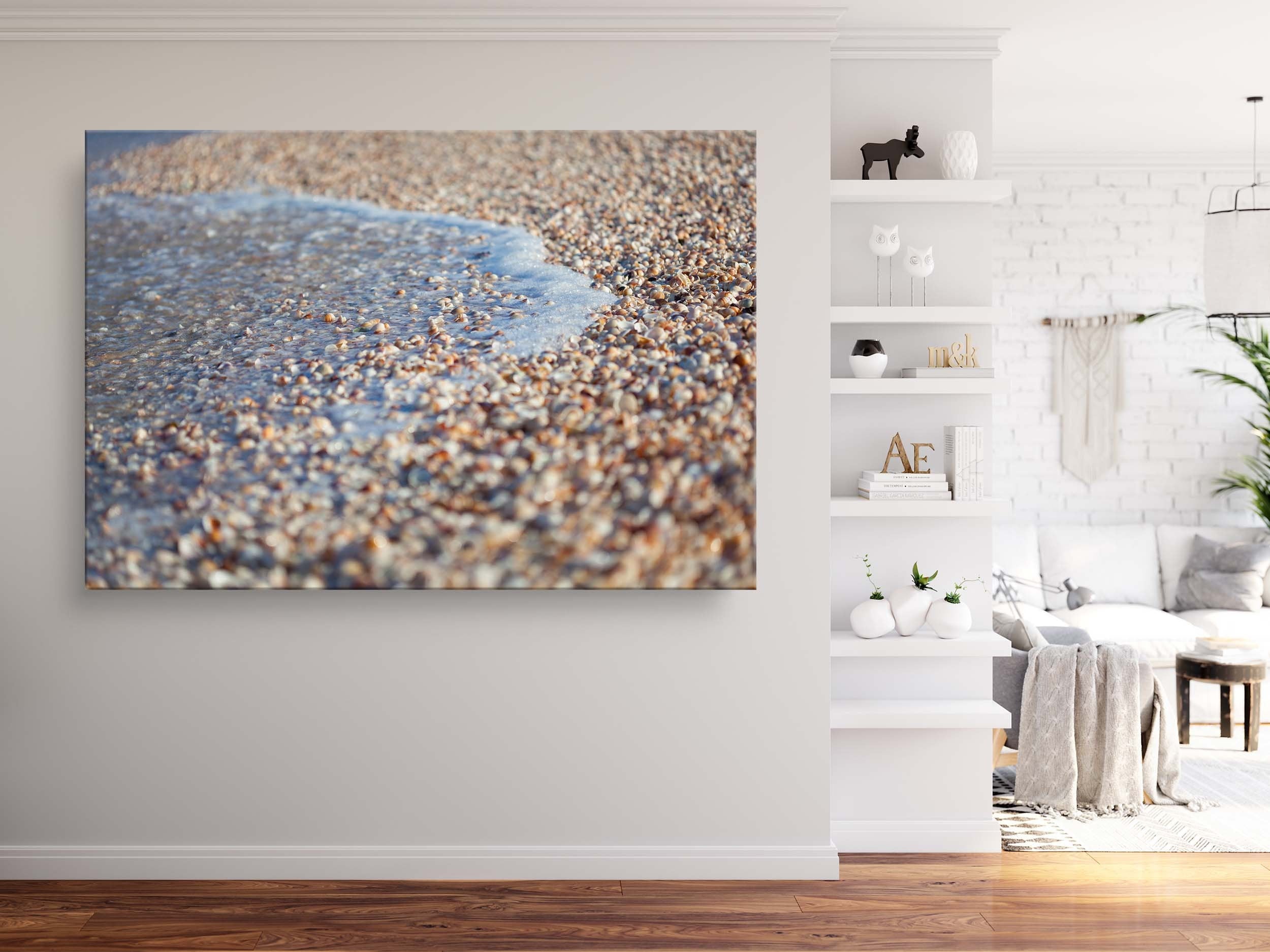 Wave and Shells Israeli Holy Land Beach Coastal Photography