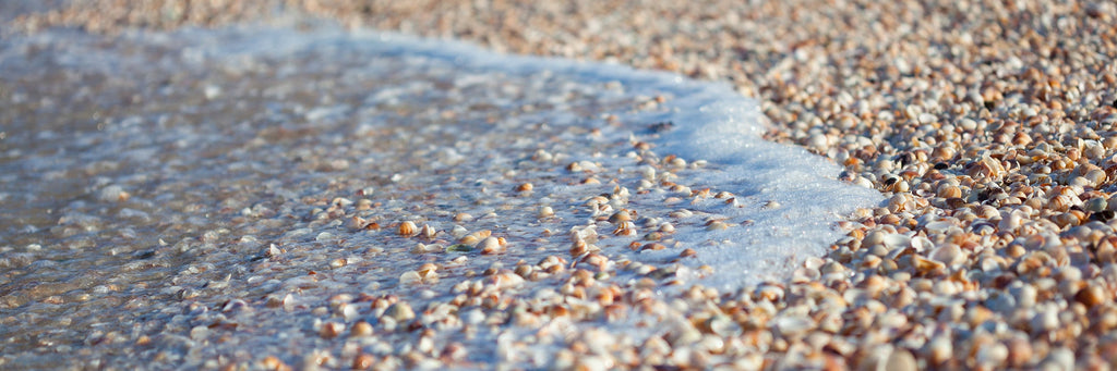 Panoramic Israeli Holy Land Beach and Shells — Coastal Mediterranean Sea Photography