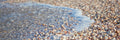 Panoramic Israeli Holy Land Beach and Shells — Coastal Mediterranean Sea Photography
