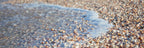 Panoramic Israeli Holy Land Beach and Shells — Coastal Mediterranean Sea Photography