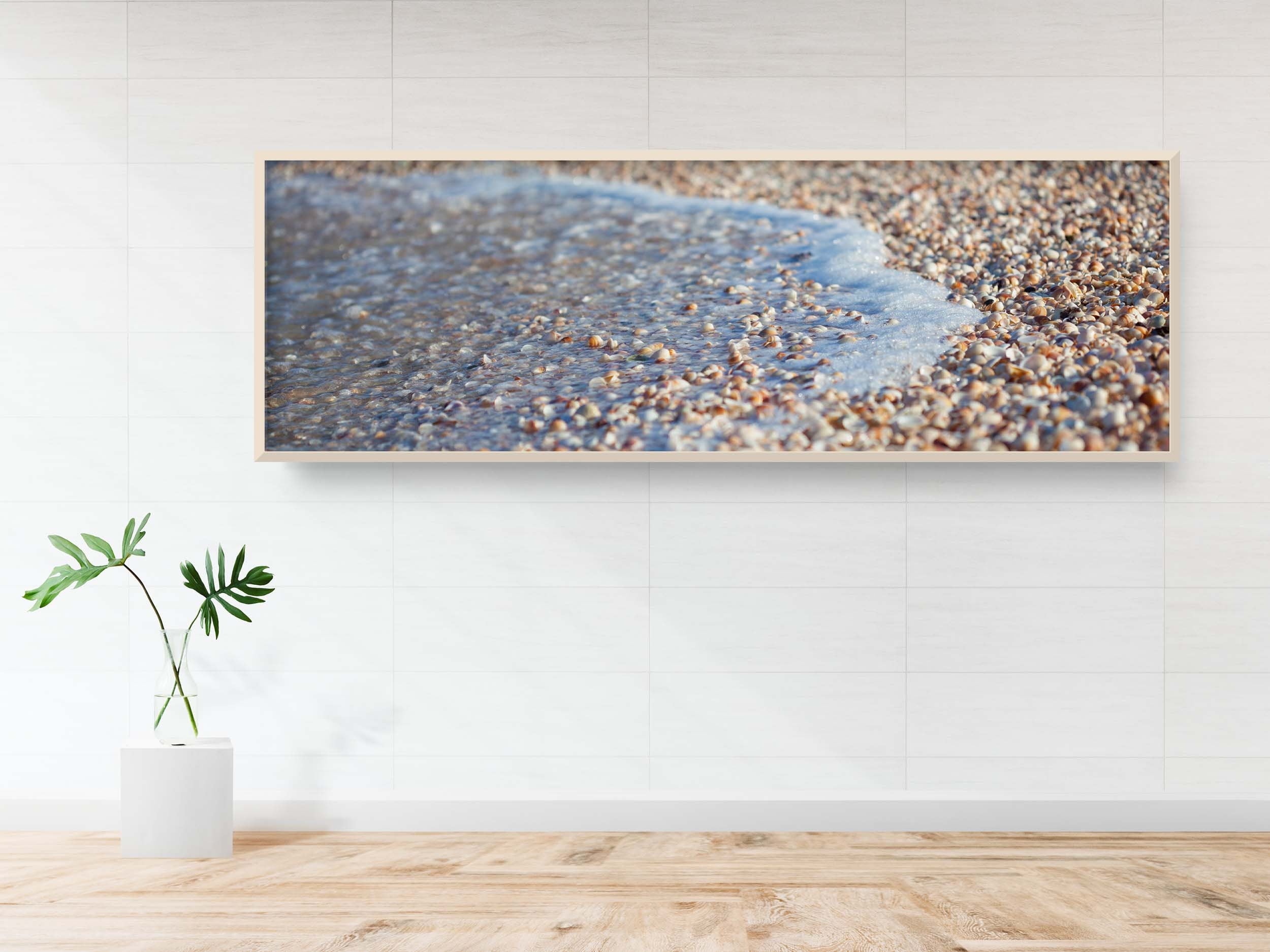 Panoramic Israeli Holy Land Beach and Shells — Coastal Mediterranean Sea Photography