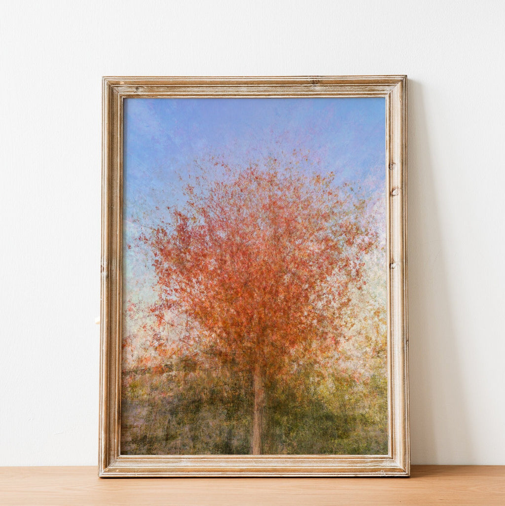 Jerusalem Red Tree Print: Israeli Autumn Impressionist Art