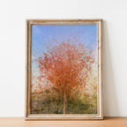 Jerusalem Red Tree Print: Israeli Autumn Impressionist Art