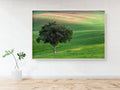 The Lone Tree and the Green Field - Israeli Holy Land Country at Bitronot Ruhama