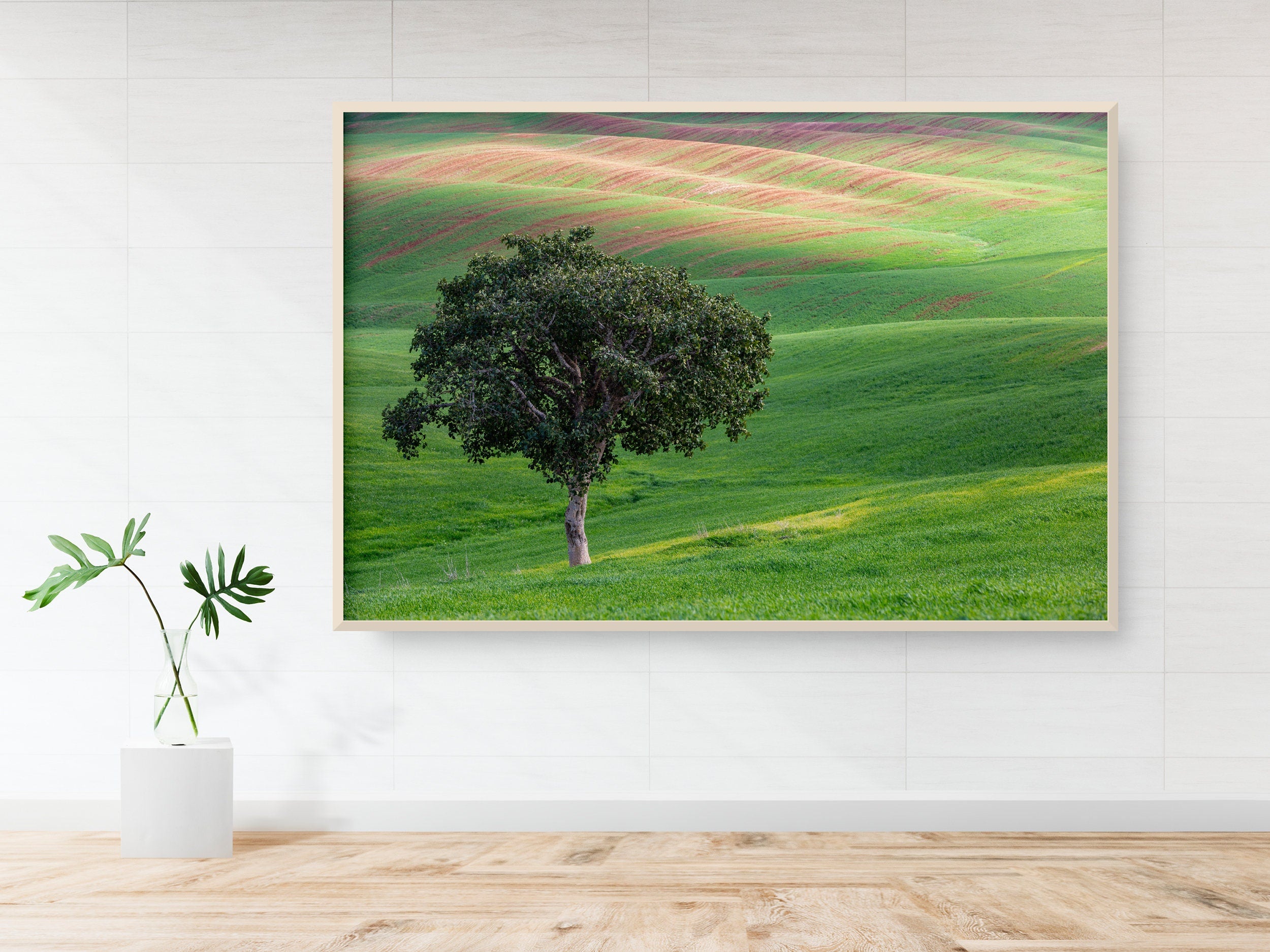 The Lone Tree and the Green Field - Israeli Holy Land Country at Bitronot Ruhama