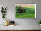The Lone Tree and the Green Field - Israeli Holy Land Country at Bitronot Ruhama