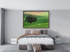 The Lone Tree and the Green Field - Israeli Holy Land Country at Bitronot Ruhama