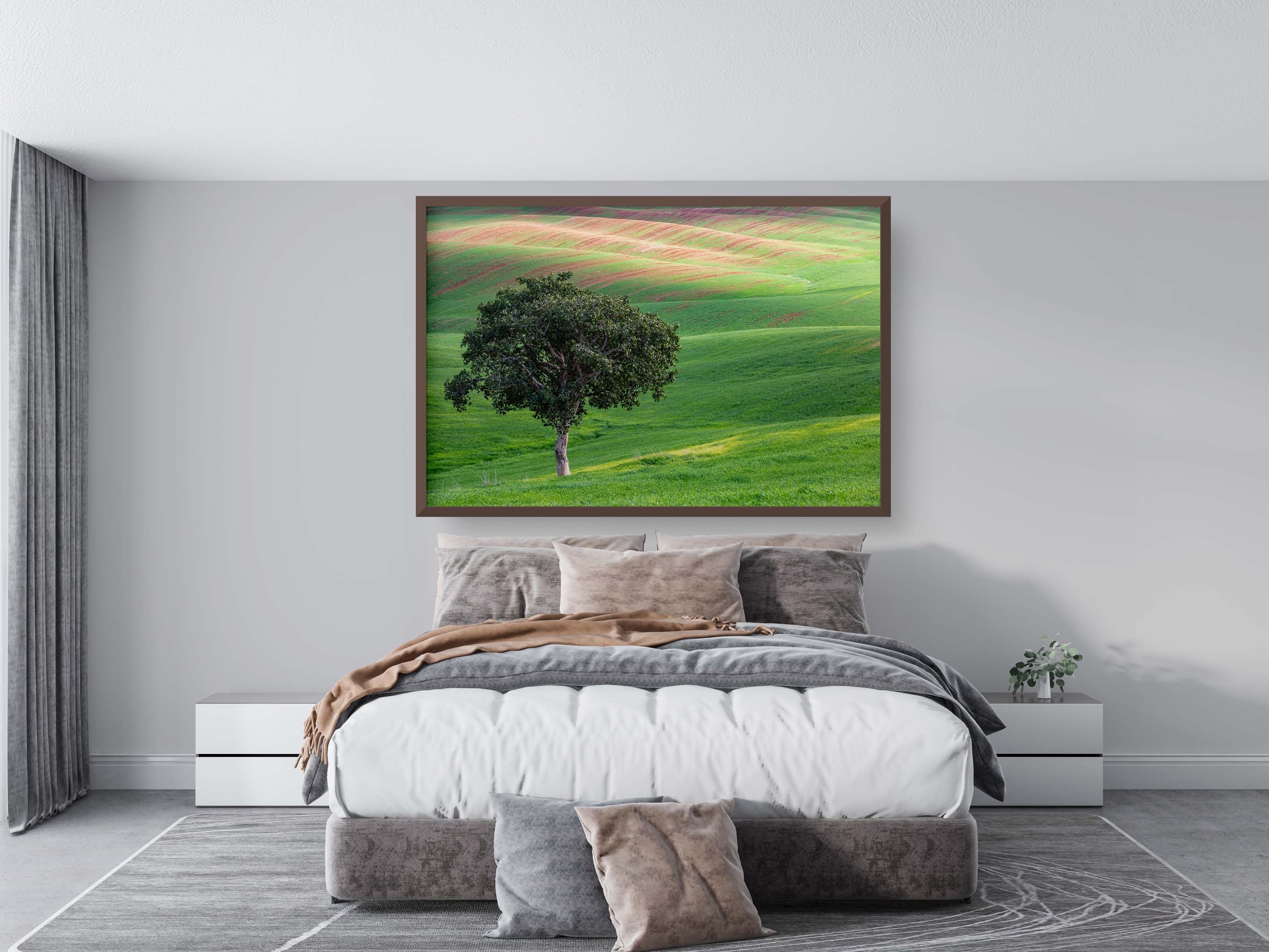 The Lone Tree and the Green Field - Israeli Holy Land Country at Bitronot Ruhama