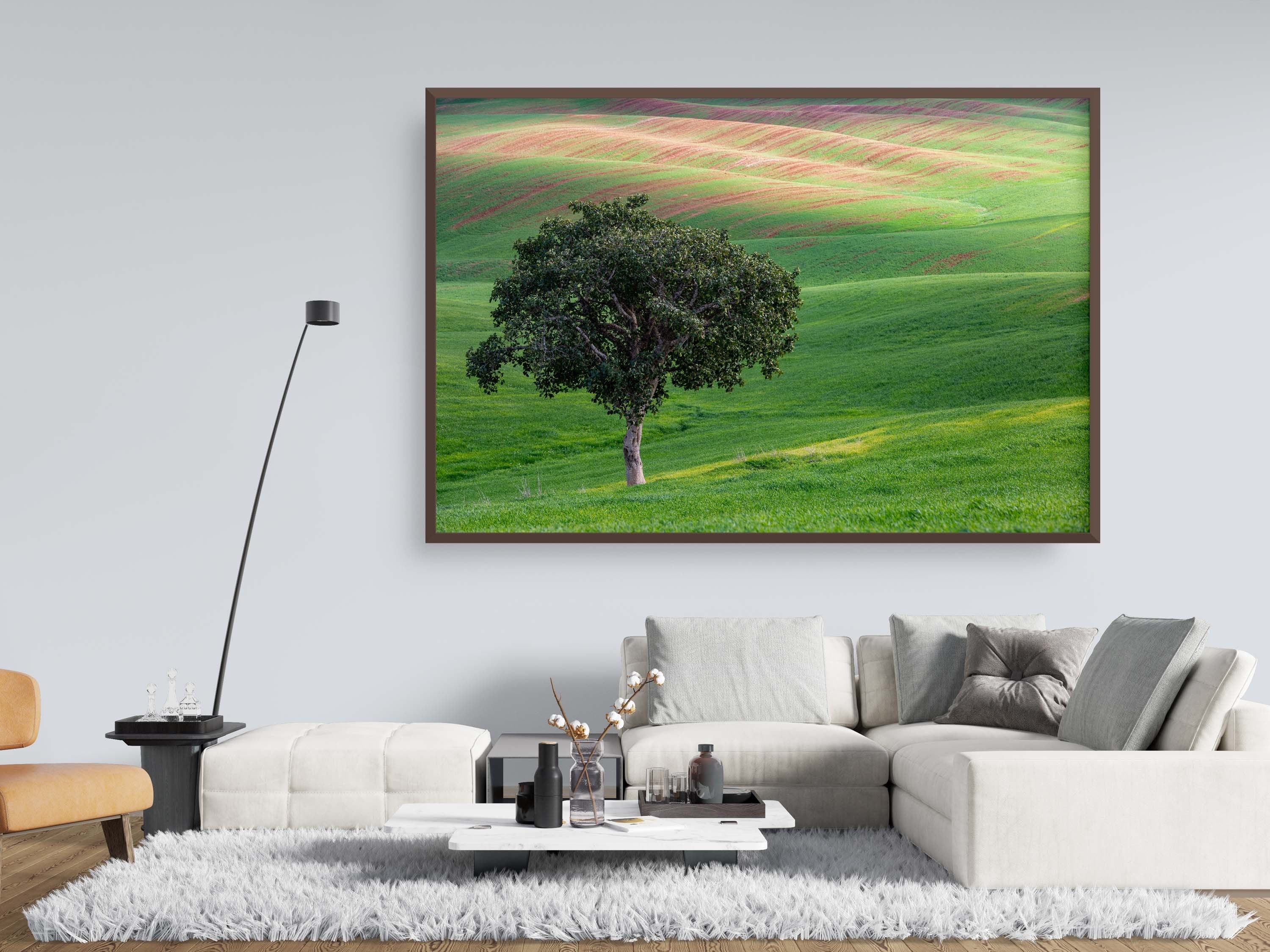 The Lone Tree and the Green Field - Israeli Holy Land Country at Bitronot Ruhama