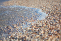 Wave and Shells Israeli Holy Land Beach Coastal Photography