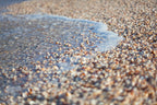 Wave and Shells Israeli Holy Land Beach Coastal Photography