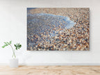 Wave and Shells Israeli Holy Land Beach Coastal Photography