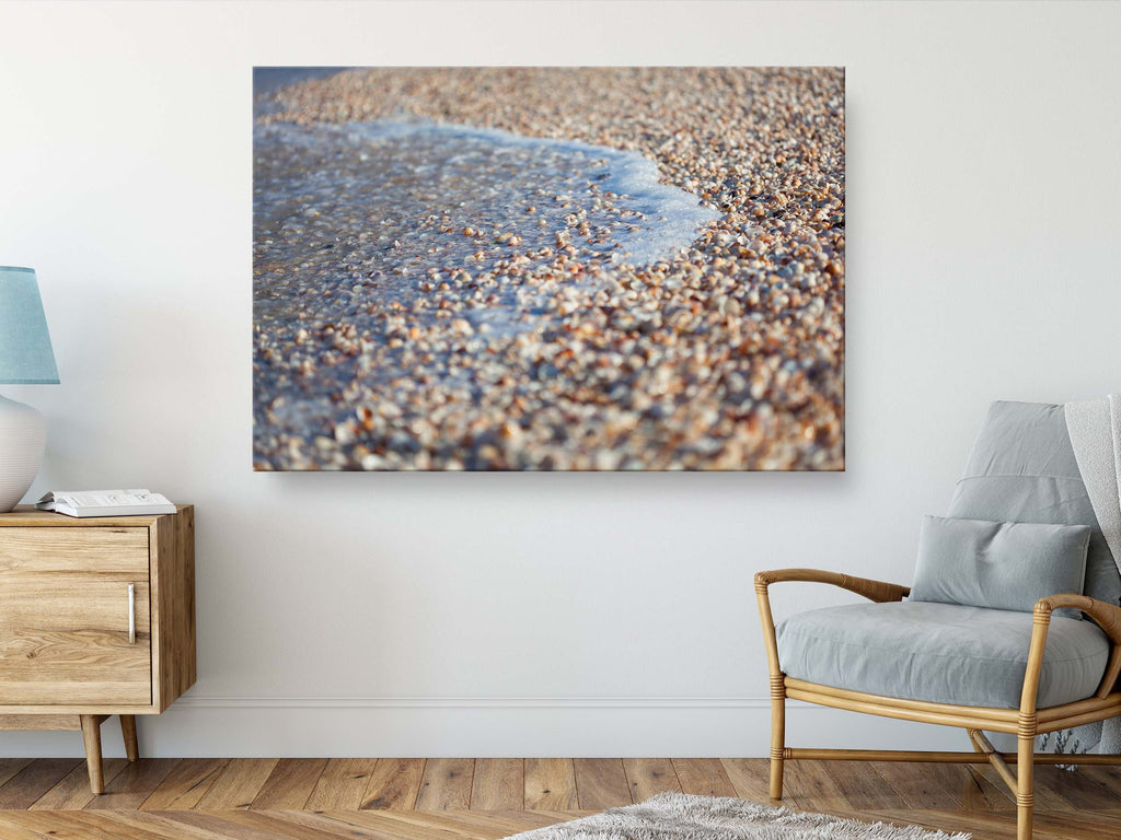 Wave and Shells Israeli Holy Land Beach Coastal Photography