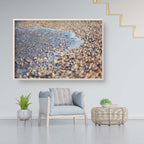 Wave and Shells Israeli Holy Land Beach Coastal Photography
