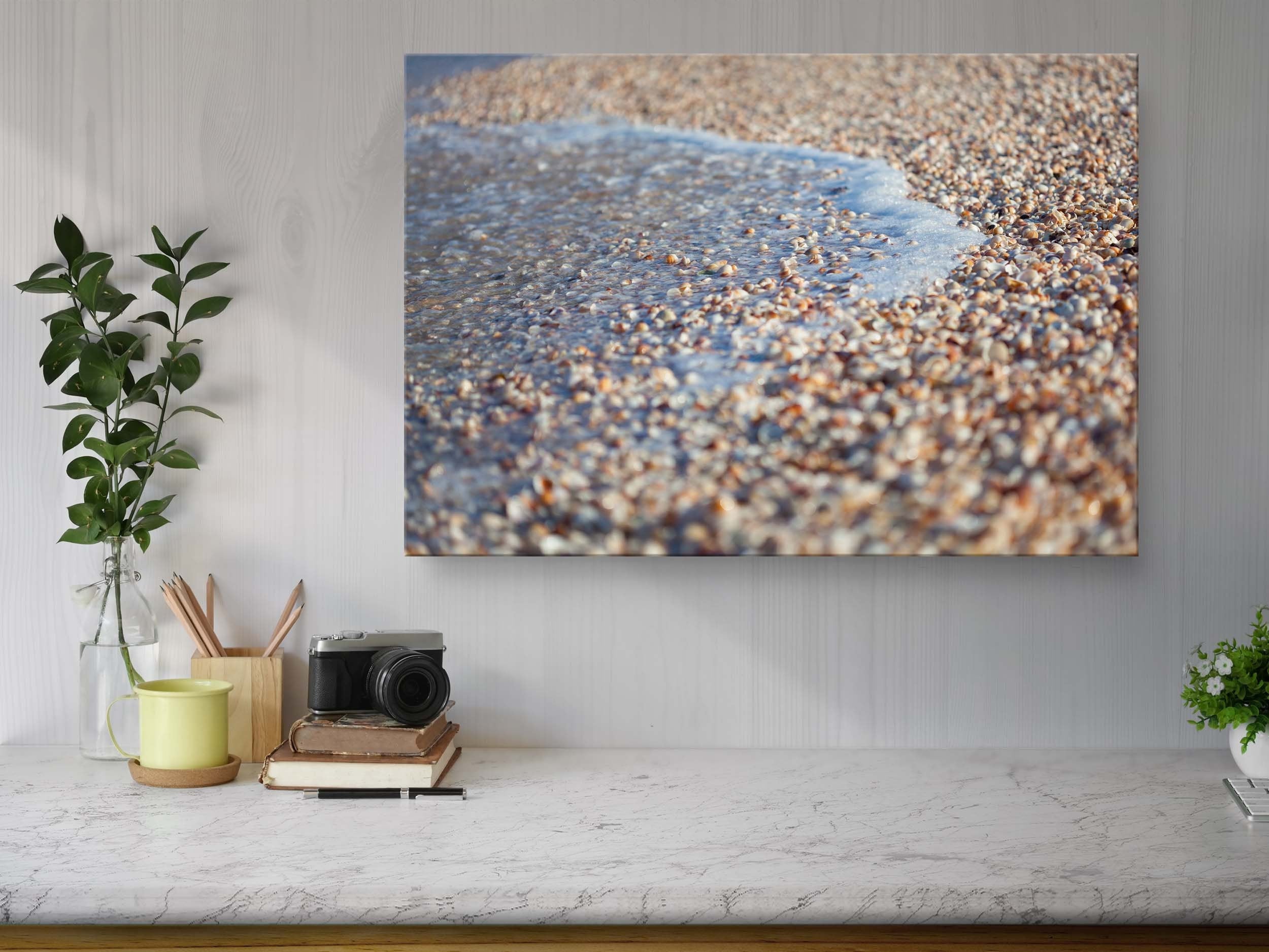 Wave and Shells Israeli Holy Land Beach Coastal Photography