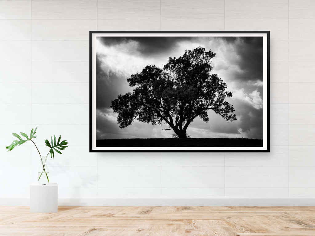 The Tree, the Dramatic Sky and the Swing — Black and White Israeli Holy Land Country