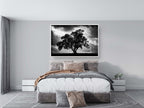 The Tree, the Dramatic Sky and the Swing — Black and White Israeli Holy Land Country