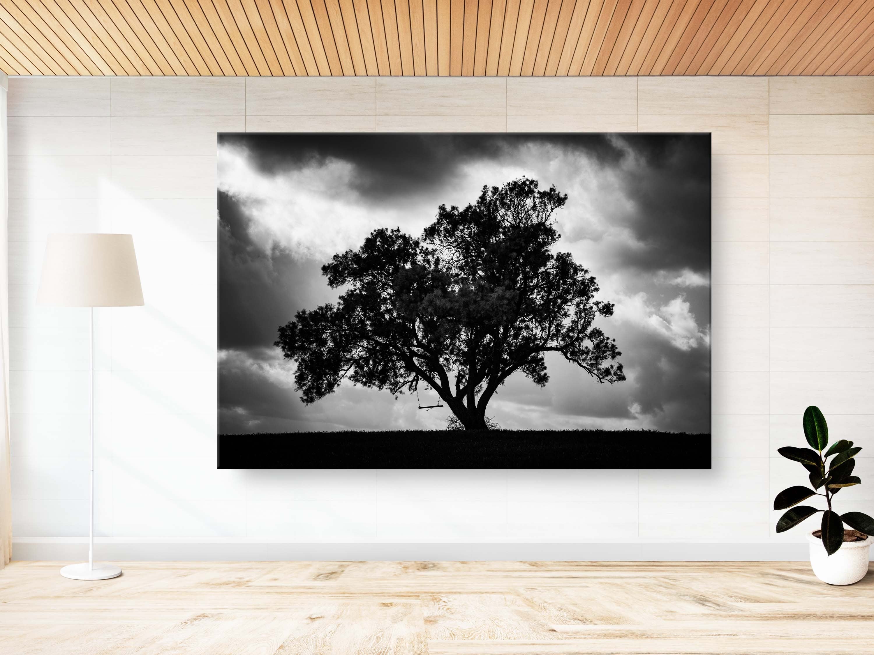 The Tree, the Dramatic Sky and the Swing — Black and White Israeli Holy Land Country