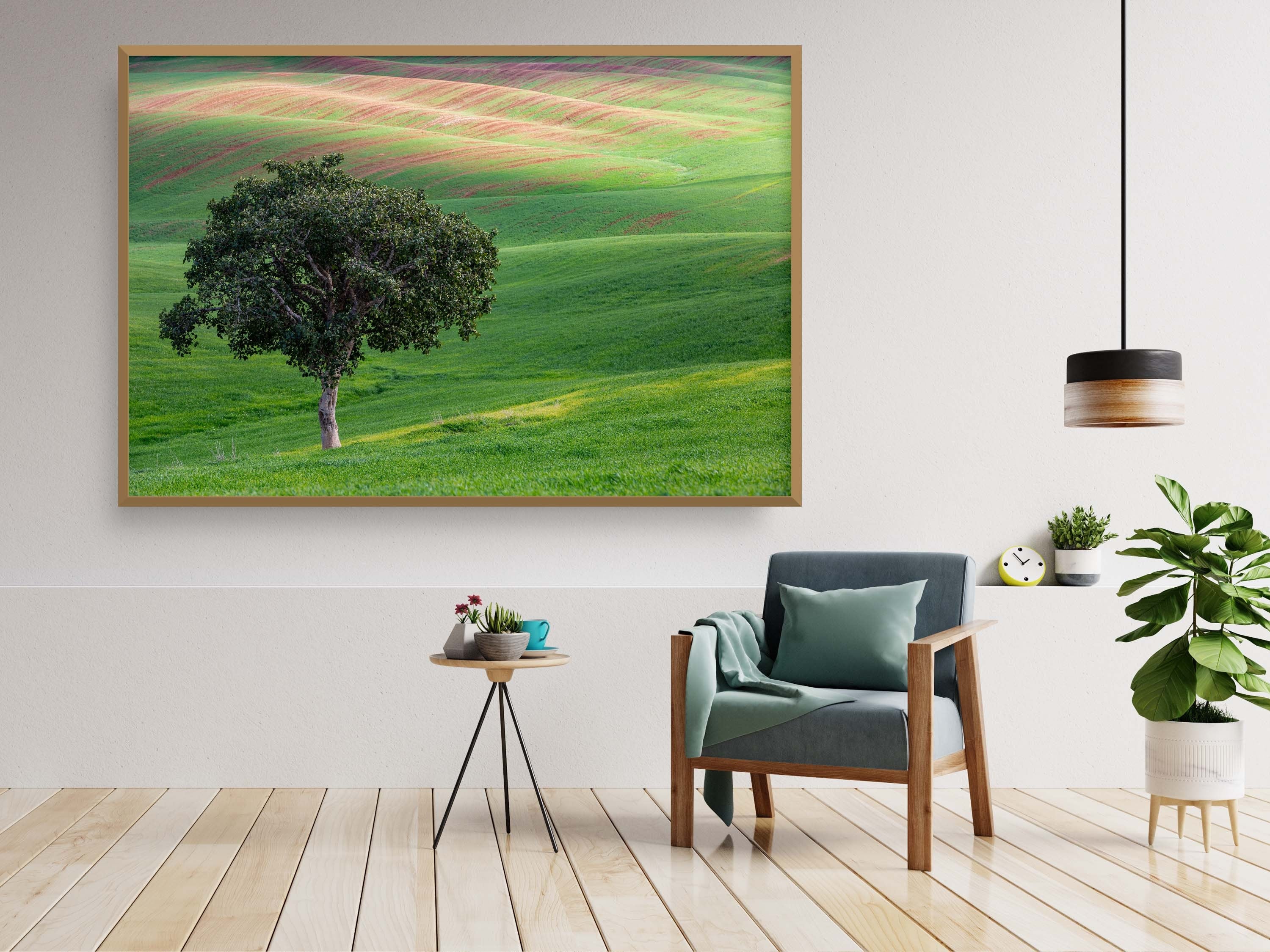 The Lone Tree and the Green Field - Israeli Holy Land Country at Bitronot Ruhama