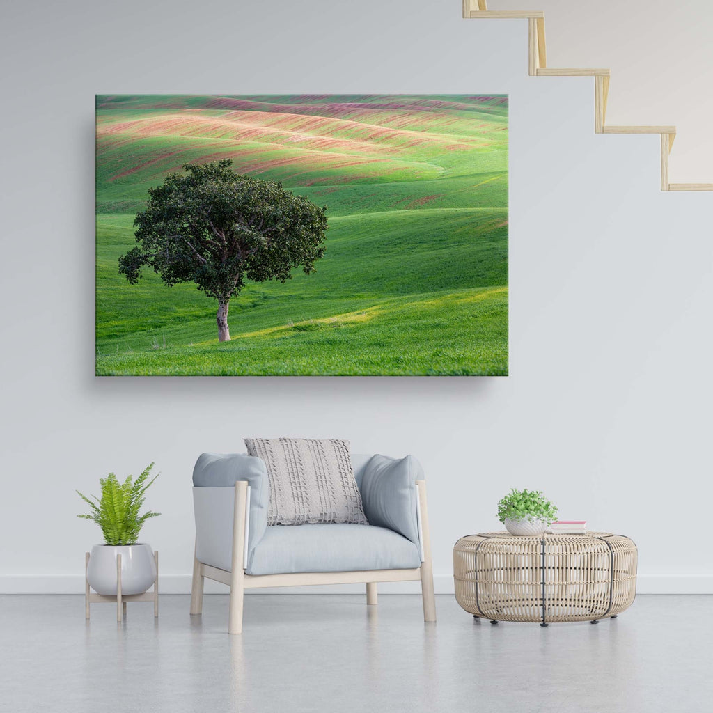 The Lone Tree and the Green Field - Israeli Holy Land Country at Bitronot Ruhama