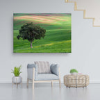 The Lone Tree and the Green Field - Israeli Holy Land Country at Bitronot Ruhama