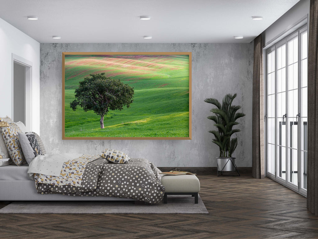 The Lone Tree and the Green Field - Israeli Holy Land Country at Bitronot Ruhama