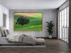 The Lone Tree and the Green Field - Israeli Holy Land Country at Bitronot Ruhama