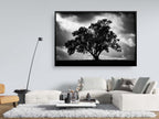 The Tree, the Dramatic Sky and the Swing — Black and White Israeli Holy Land Country