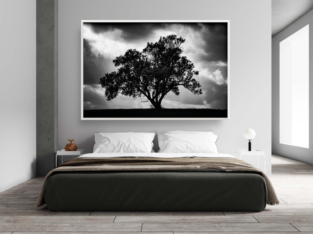 The Tree, the Dramatic Sky and the Swing — Black and White Israeli Holy Land Country