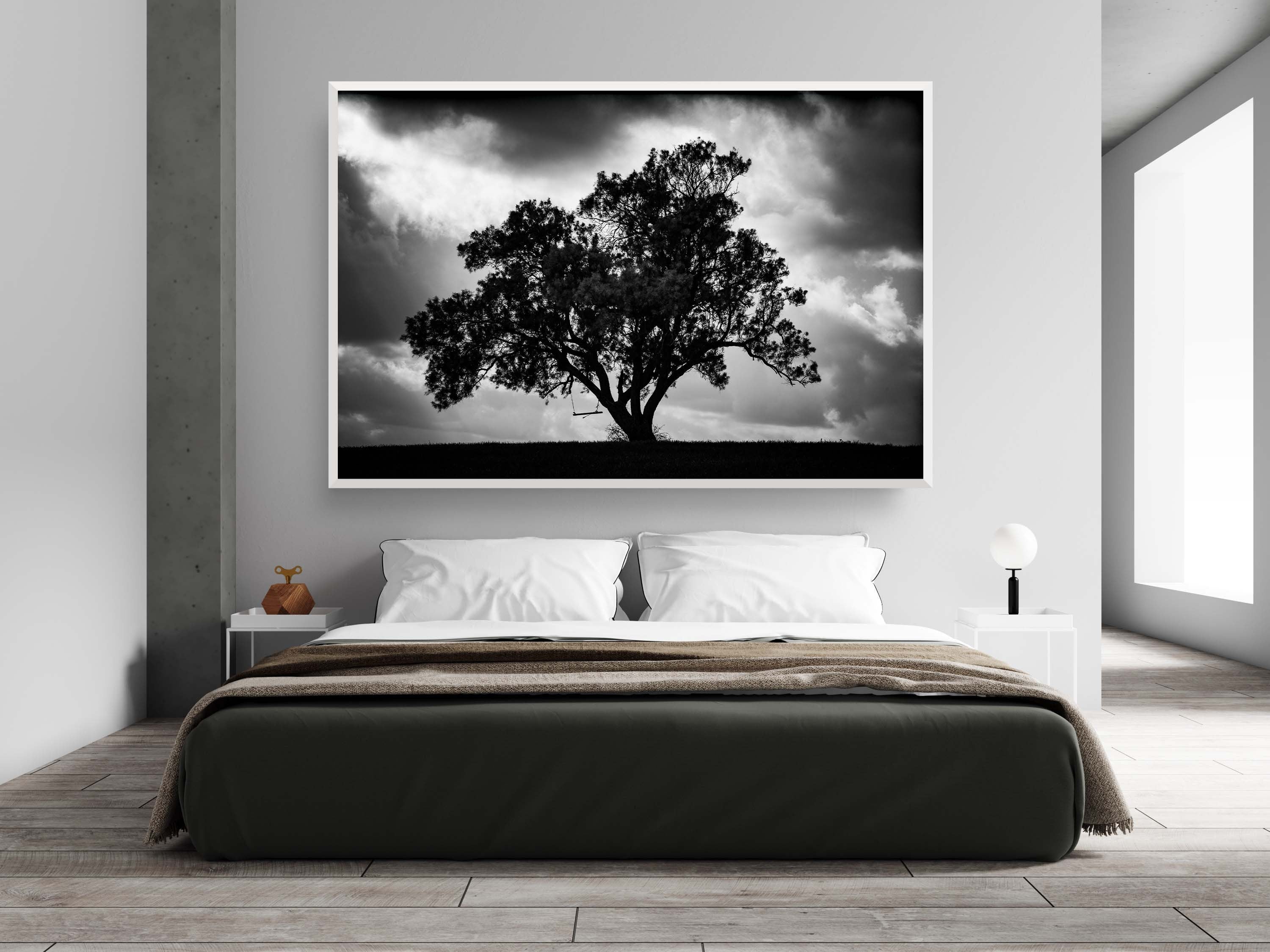 The Tree, the Dramatic Sky and the Swing — Black and White Israeli Holy Land Country
