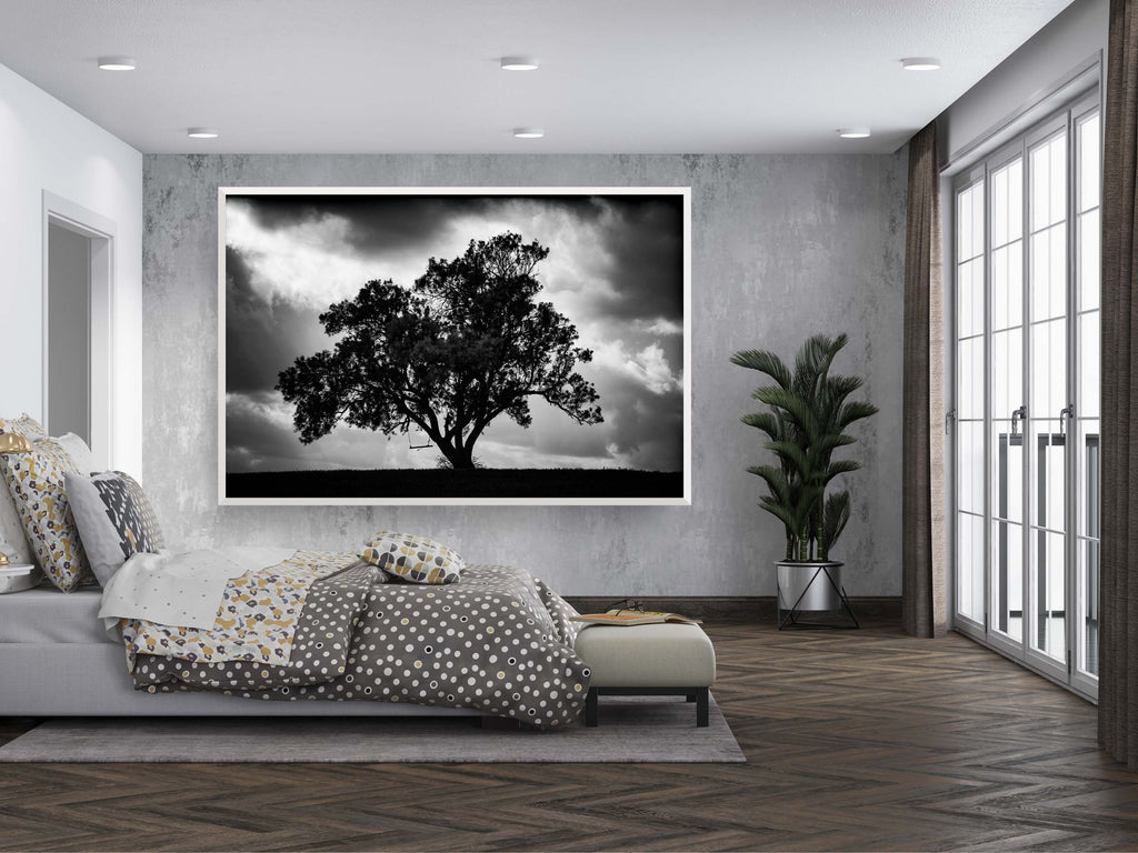 The Tree, the Dramatic Sky and the Swing — Black and White Israeli Holy Land Country