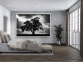 The Tree, the Dramatic Sky and the Swing — Black and White Israeli Holy Land Country
