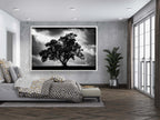The Tree, the Dramatic Sky and the Swing — Black and White Israeli Holy Land Country