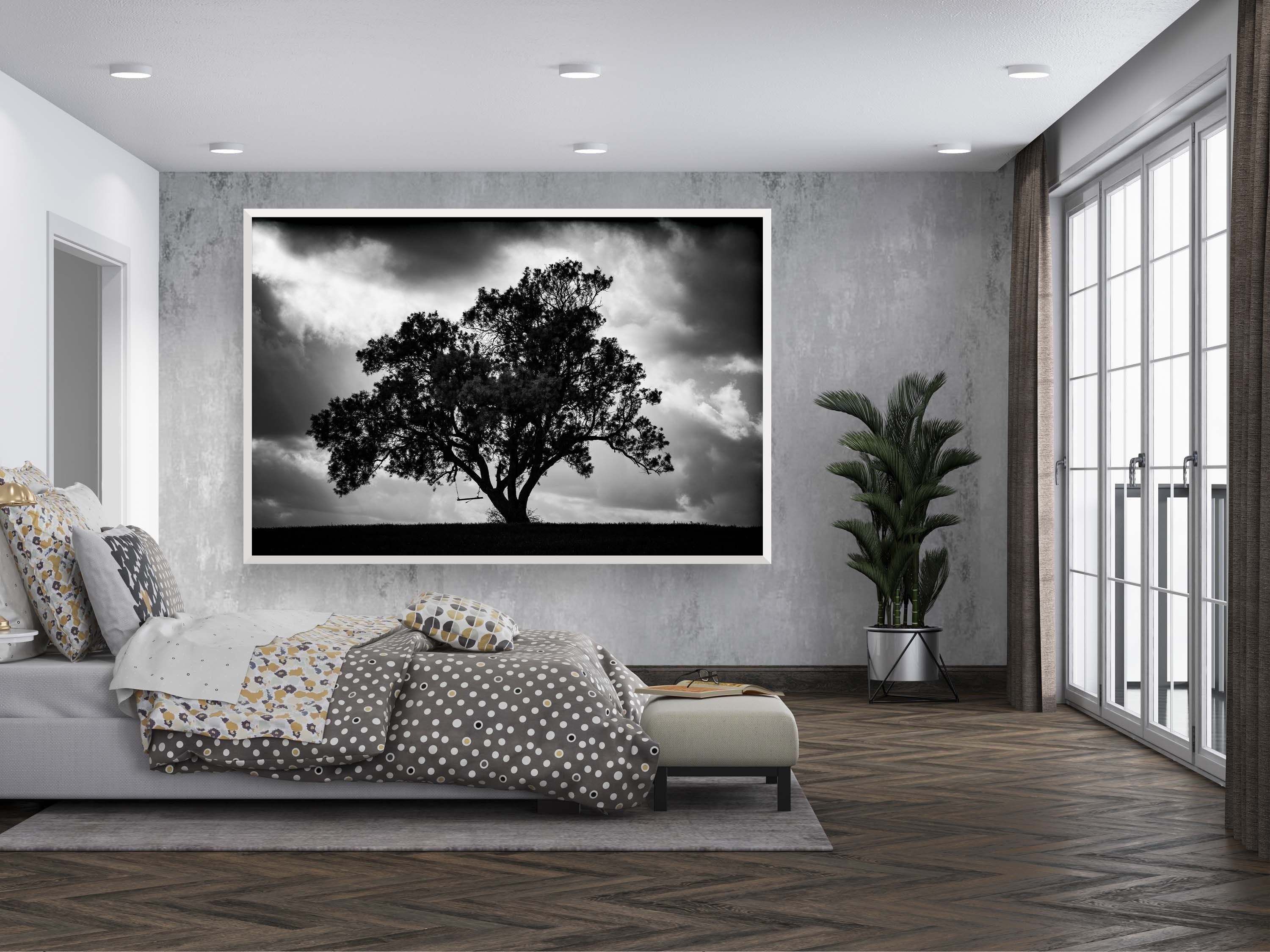 The Tree, the Dramatic Sky and the Swing — Black and White Israeli Holy Land Country