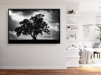 The Tree, the Dramatic Sky and the Swing — Black and White Israeli Holy Land Country