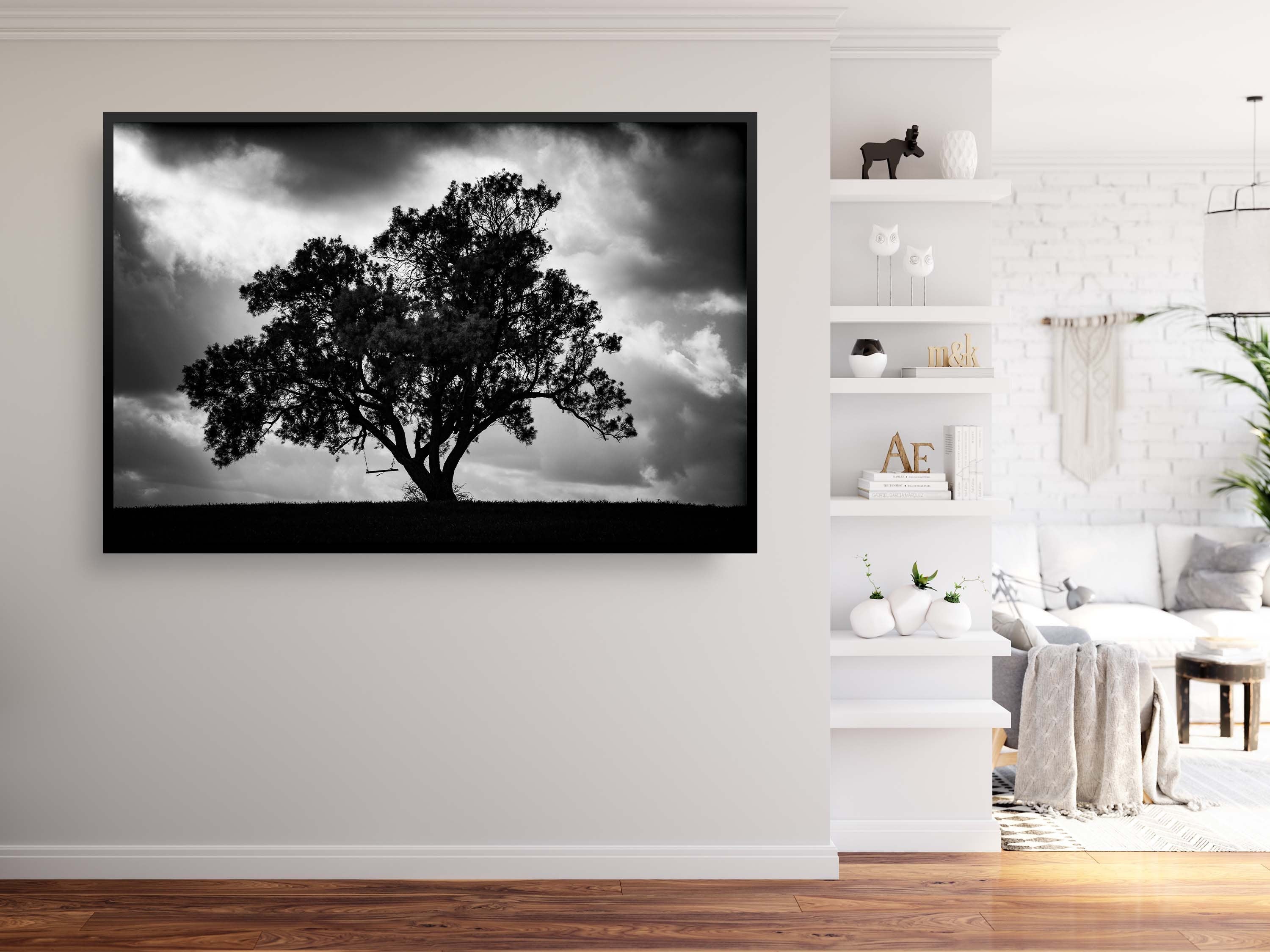 The Tree, the Dramatic Sky and the Swing — Black and White Israeli Holy Land Country
