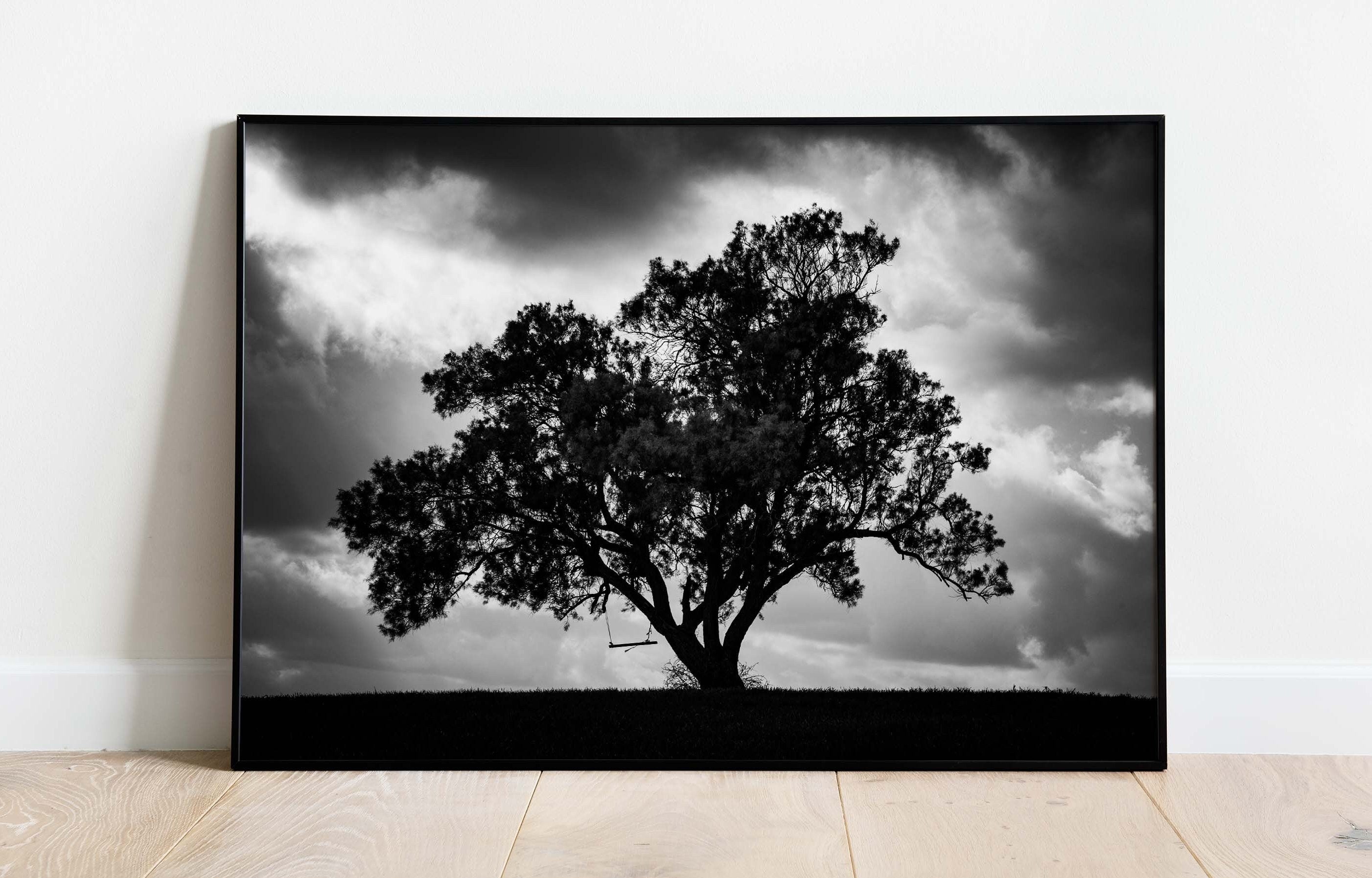 The Tree, the Dramatic Sky and the Swing — Black and White Israeli Holy Land Country
