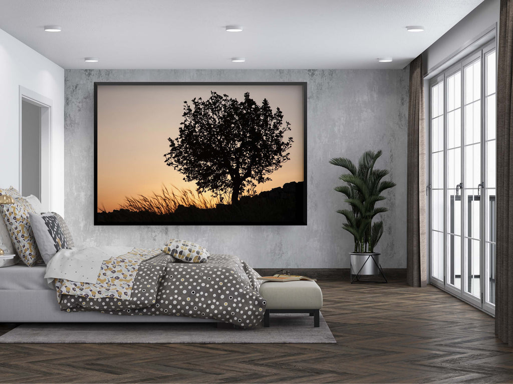 Orange Sunset Tree Landscape Photography — Holy land Israeli Tree & Wild Crops on the Hill