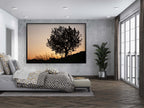 Orange Sunset Tree Landscape Photography — Holy land Israeli Tree & Wild Crops on the Hill