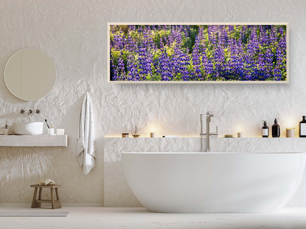 Panoramic Wild Israeli Holy Land Purple Flowers — Lupine Turmus Spring Flowering Field Landscape