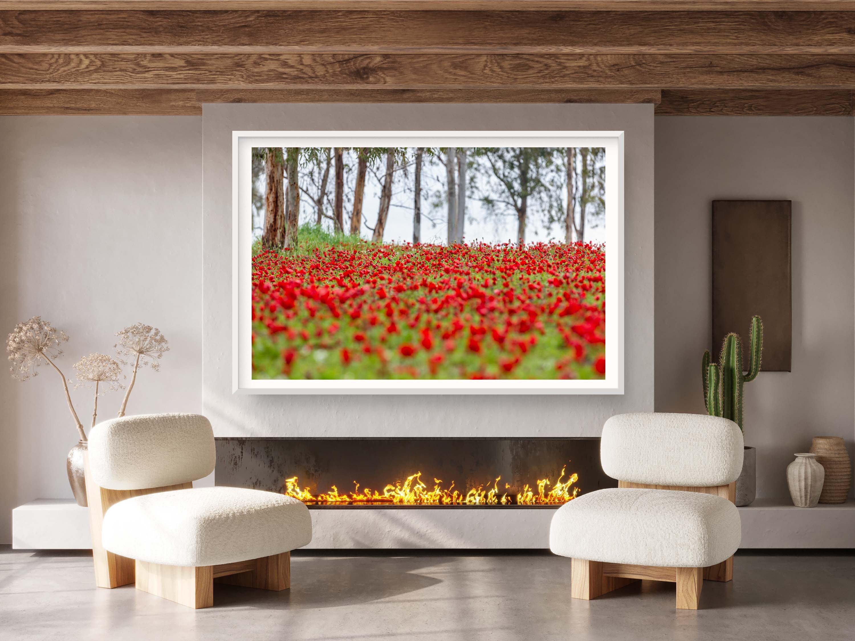 Red Wild Anemone Flowers and Tree Trunks — Israeli Holy Land Nature