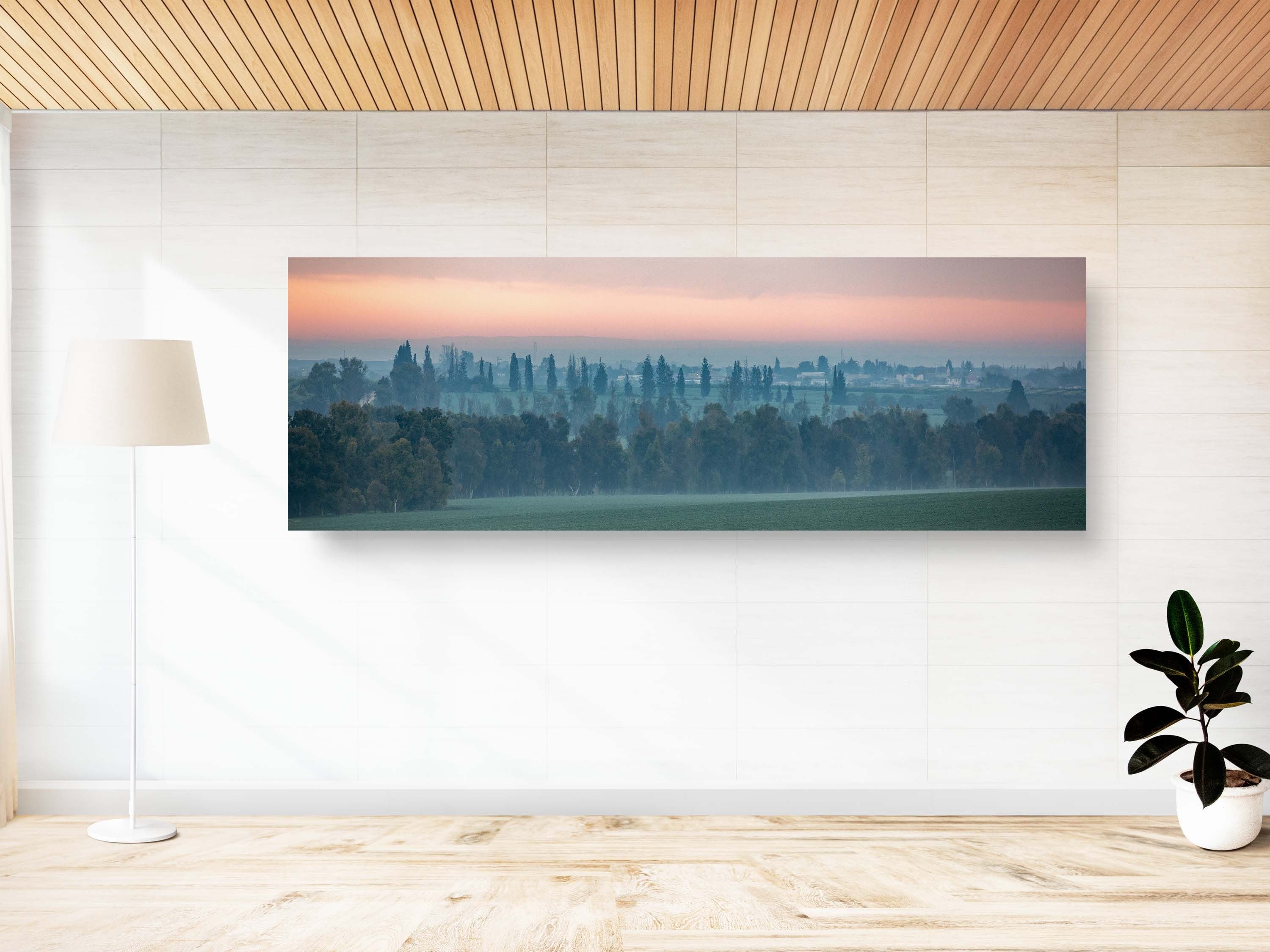 Holy Land Israeli Sunrise Panoramic Landscape: Green Field and Trees, Kibbutz Beeri