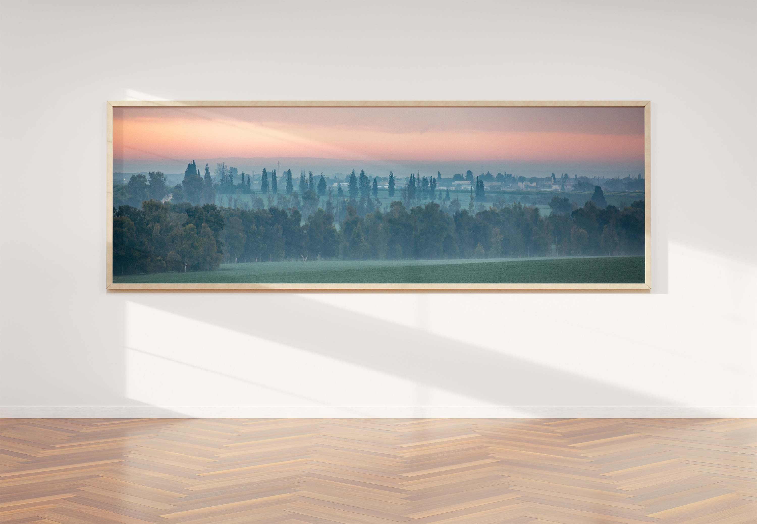 Holy Land Israeli Sunrise Panoramic Landscape: Green Field and Trees, Kibbutz Beeri